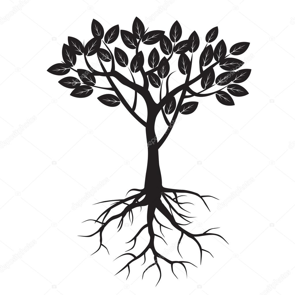 Vector illustration of Black Tree Roots 84376528