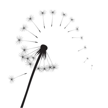 Siyah vektör karahindiba