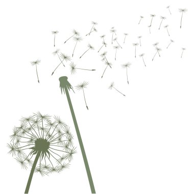 Yeşil vektör karahindiba