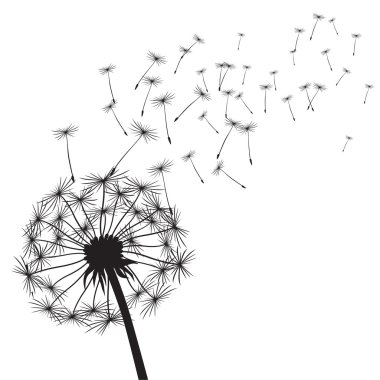 Siyah vektör karahindiba