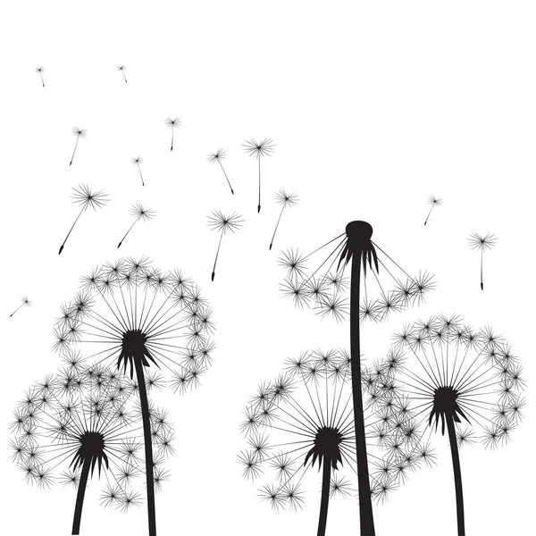 Dandelions and Wind. Vector Illustration. — Stock Vector