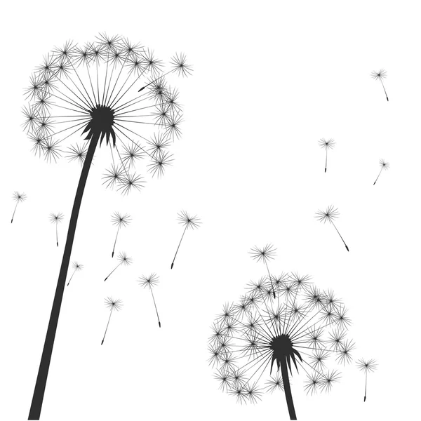 Black vector dandelions — Stock Vector