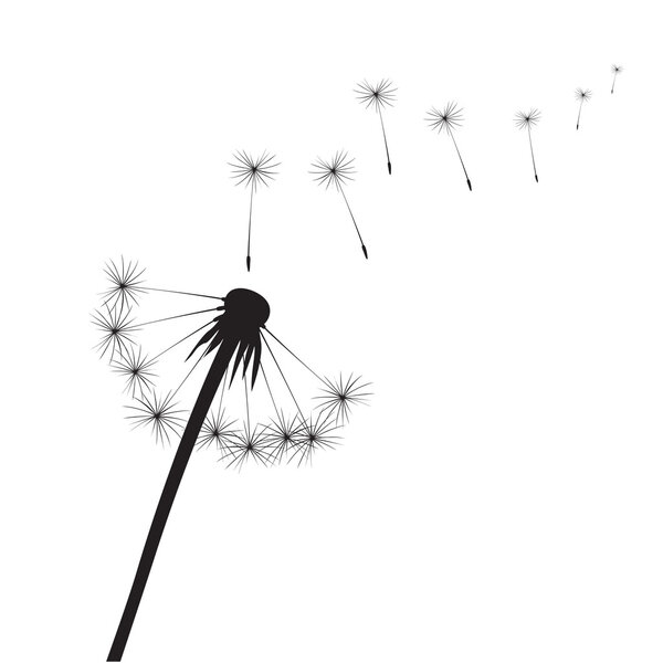Чёрные векторные одуванчики

