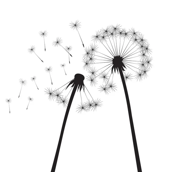 Black vector dandelions — Stock Vector