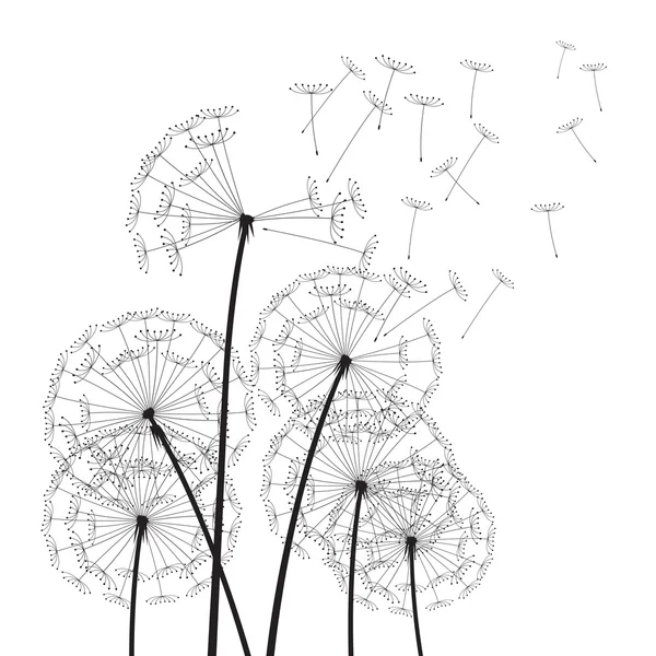Black vector dandelions