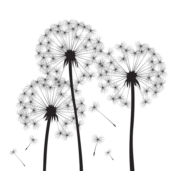 Black vector dandelions — Stock Vector