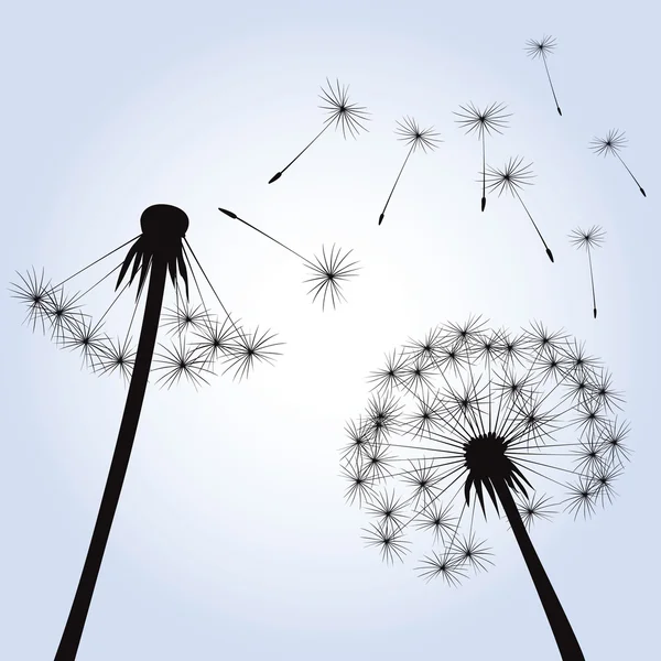 Dandelions and Wind. Vector Illustration. — Stock Vector