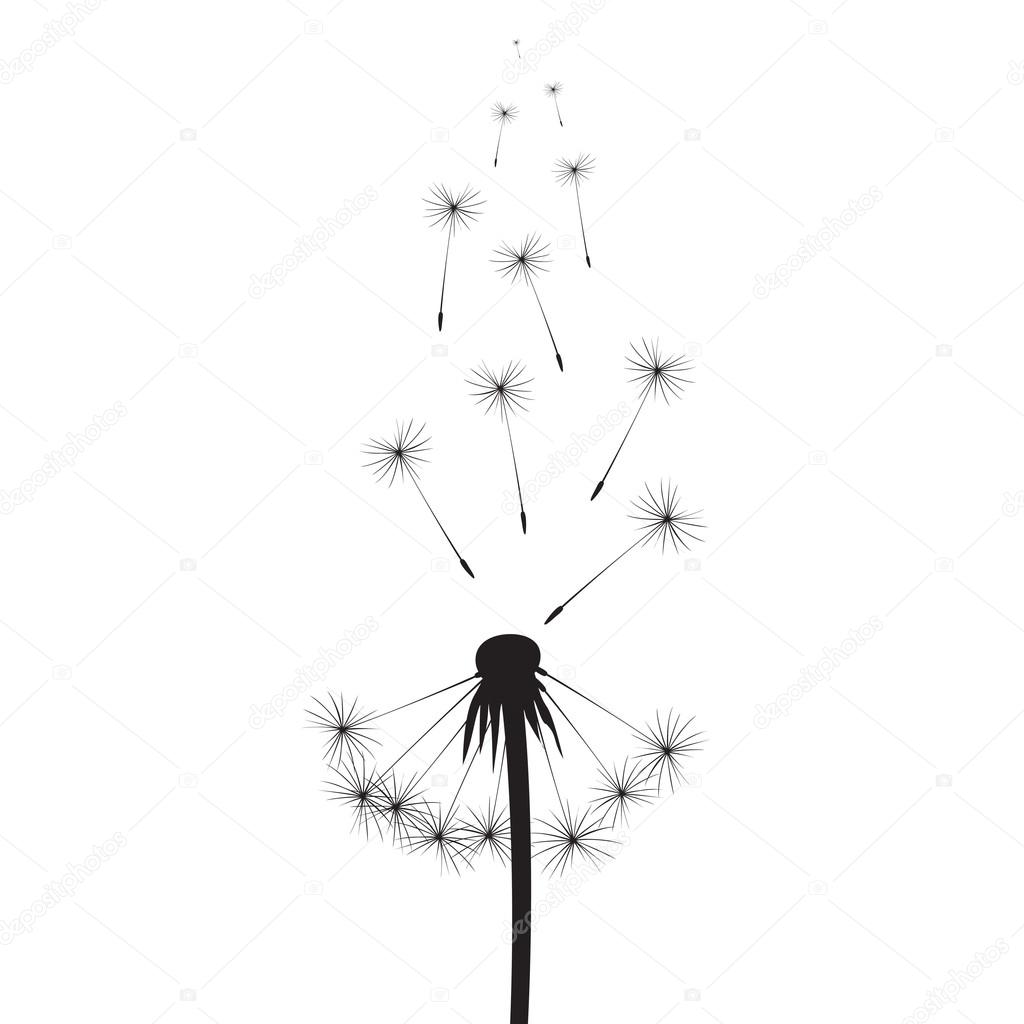 Black vector dandelions