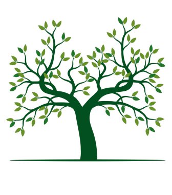 Green leaves on branches, trunk and Roots. Outline Illustration. A tree drawn by hand. 