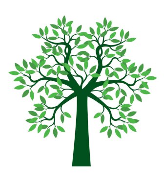 Green leaves on branches. Vector Illustration. A tree drawn by hand. 