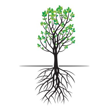 Yeşil ağaç ve kökleri. Vektör çizim.