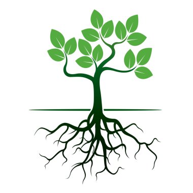 Yeşil ağaç ve kökleri. Vektör çizim.