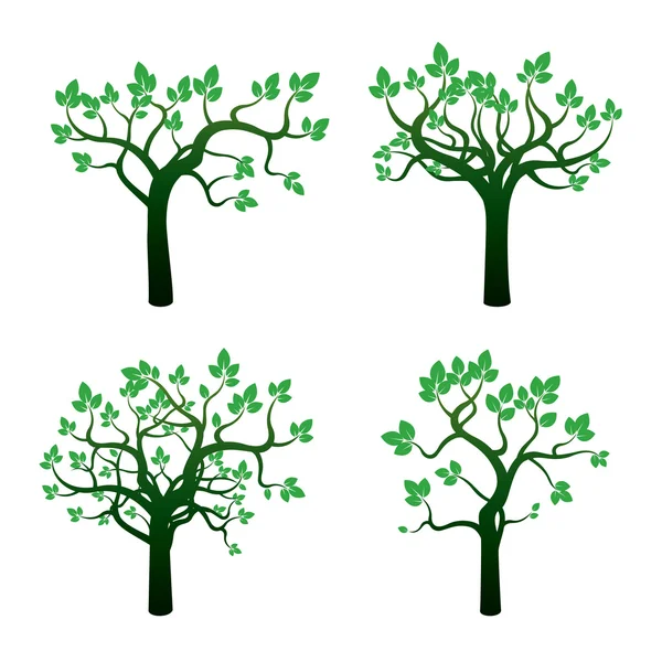 Set of Green Trees and Roots. Vector Illustration. — Stock Vector