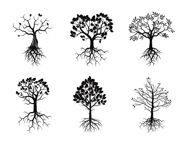 Aantal zwarte bomen en wortels — Stockvector