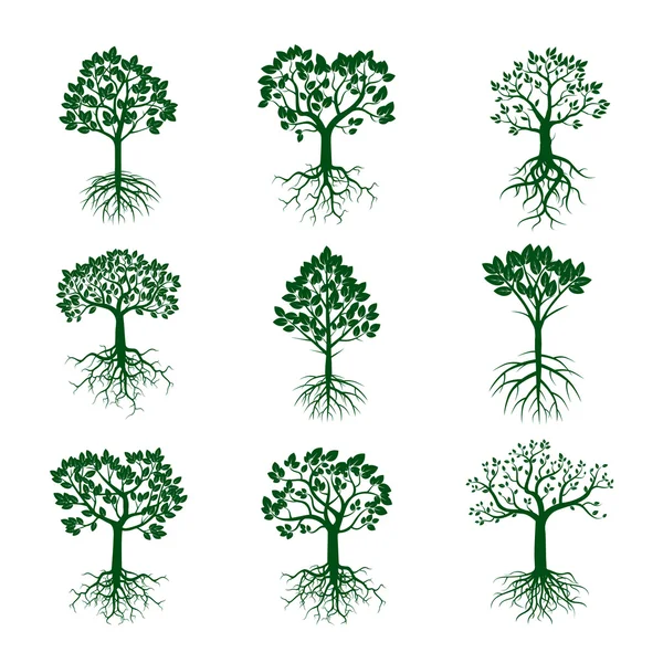 緑の木々 と根のセット — ストックベクタ