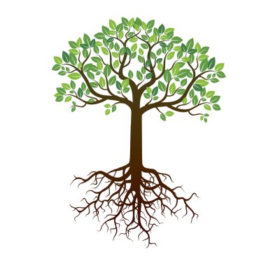 Renk ağaç ve kökleri. Vektör çizim.
