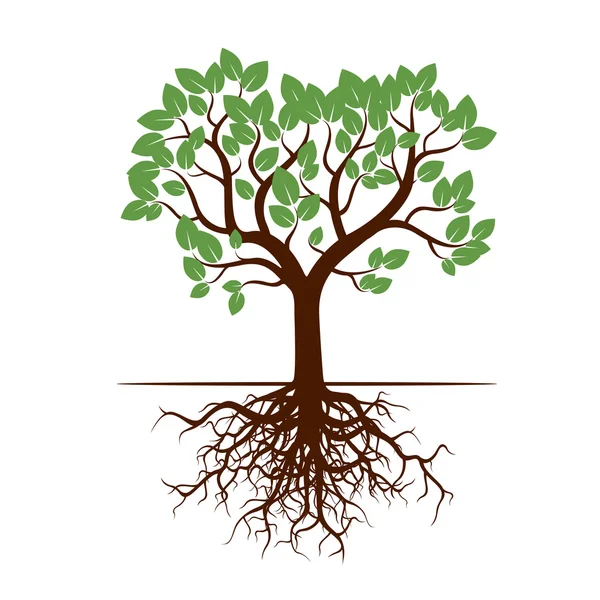 Tree, Green Leafs and Roots. Vector Illustration. — Stock Vector