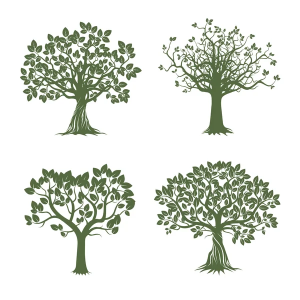 Sammlung grüner Bäume. Vektorillustration. — Stockvektor