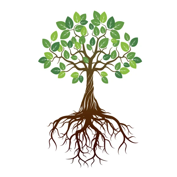 Renk ağaç ve kökleri. Vektör çizim.