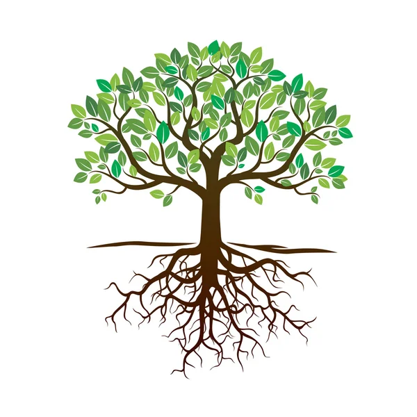 Renk ağaç ve kökleri. Vektör çizim.