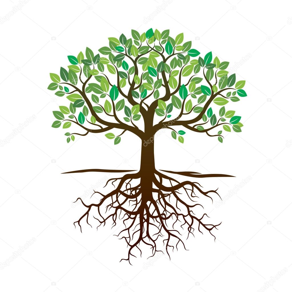 Color Tree And Roots Vector Illustration Stock Vector Image By C Rolandtopor