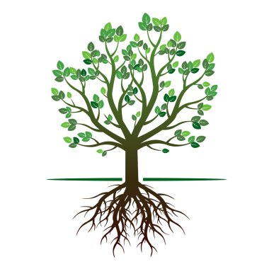 Ağaç yeşil bahar ve kökleri. Vektör çizim.