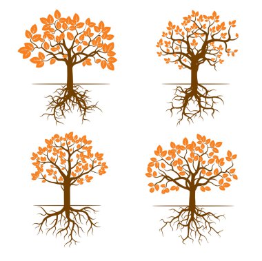 Renk ağaçlar ve kökler kümesi. Vektör çizim.