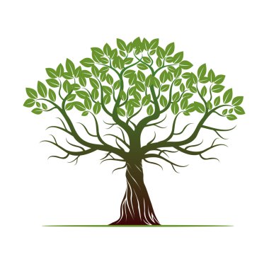 Yeşil ağaç yapraklar. Vektör çizim.