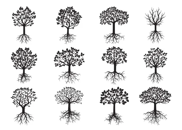 Conjunto de árvores negras e raízes. Ilustração vetorial . —  Vetores de Stock