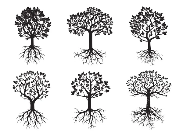 Ensemble d'arbres verts et de racines. Illustration vectorielle . — Image vectorielle