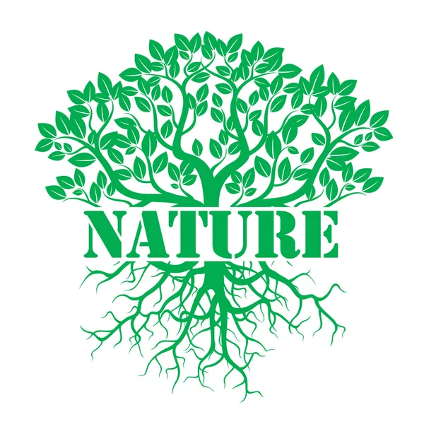 Illustrazione vettoriale verde NATURA — Vettoriale Stock