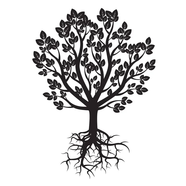 Árvore Negra e Raízes. Ilustração vetorial . —  Vetores de Stock