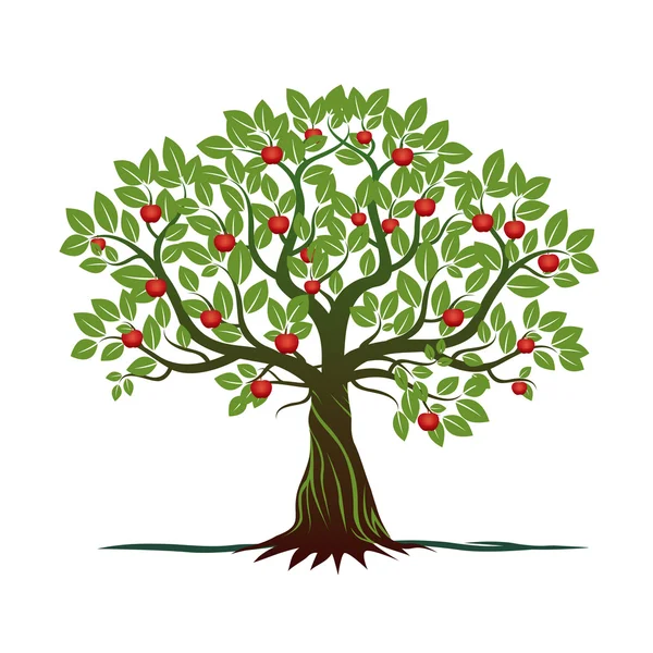 Vieil arbre aux feuilles vertes, aux racines et aux pommes rouges. Illustration vectorielle . — Image vectorielle