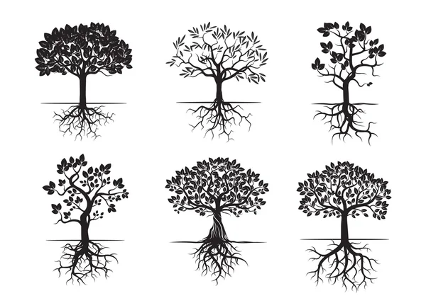 Collection of Black Trees and Roots. Vector Illustration. — Stock Vector