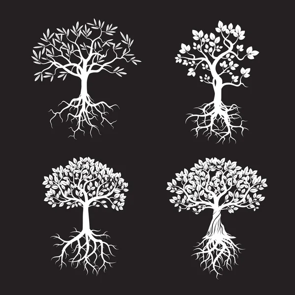 Colección de árboles blancos y raíces. Ilustración vectorial . — Vector de stock