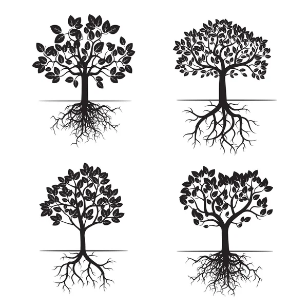 Collection d'arbres noirs et de racines. Illustration vectorielle . — Image vectorielle