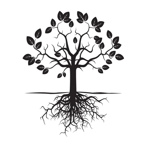 黒い木と根。ベクトル図. — ストックベクタ