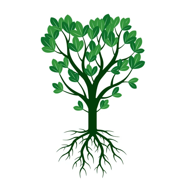 Green Spring Tree and Roots. Vector Illustration. — Stock Vector