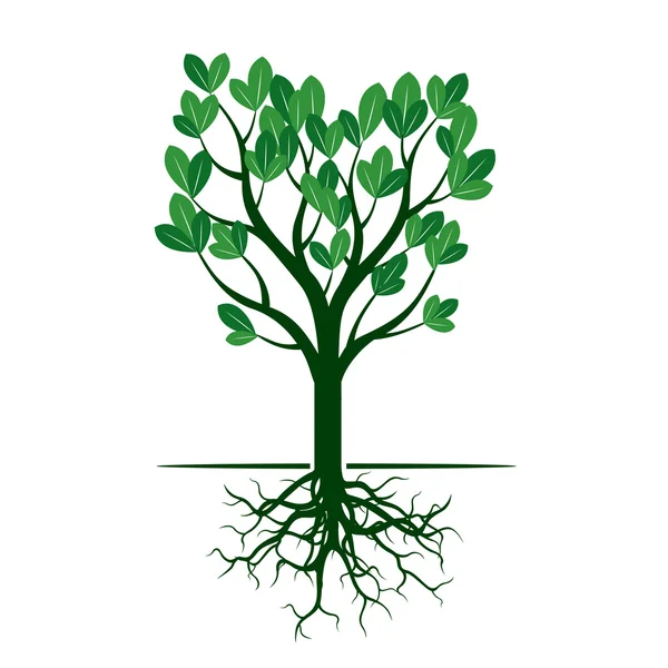 Green Spring Tree i korzeni. Ilustracja wektorowa. — Wektor stockowy