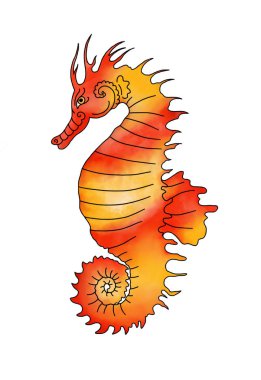 Suluboya çizim tekniğinde bir deniz atı tasviri