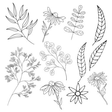 Karalama tekniğinde çeşitli bitki ve çiçek setleri