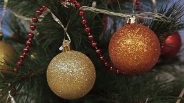 İki topları ile süslenmiş Noel ağacı dalı