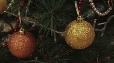 İki topları ile süslenmiş Noel ağacı dalı