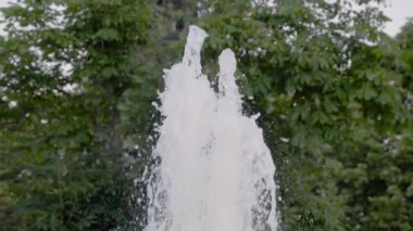 Çeşme suyu jeti ağaçların yeşil yapraklarına çarpıyor - yavaş çekim