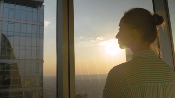 Vista posterior de la mujer mirando paisaje urbano a través de la ventana de cristal del rascacielos — Vídeos de Stock