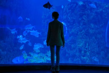 Kadın silueti Oceanarium 'daki büyük bir akvaryum tankında balıklara bakıyor.