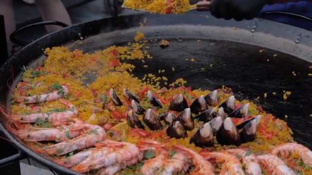 Slow motion: chef cooking paella with shrimp, mussel in huge pan - close up — Stock Video