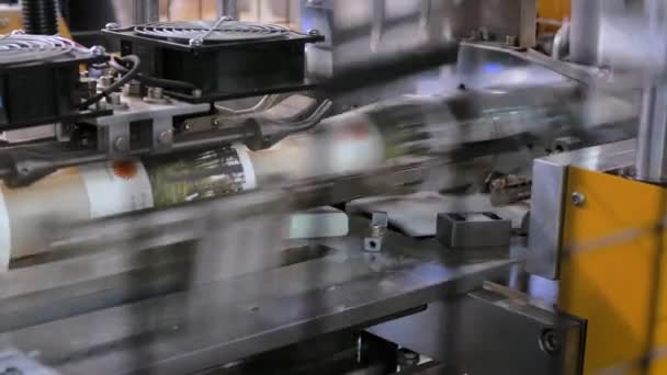 Automatische verwijdering koffie papier cup making machine tijdens het werk op de tentoonstelling — Stockvideo