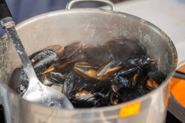 Yakın çekim: midye pişirme süreci, tencerede istiridye - deniz ürünleri konsepti