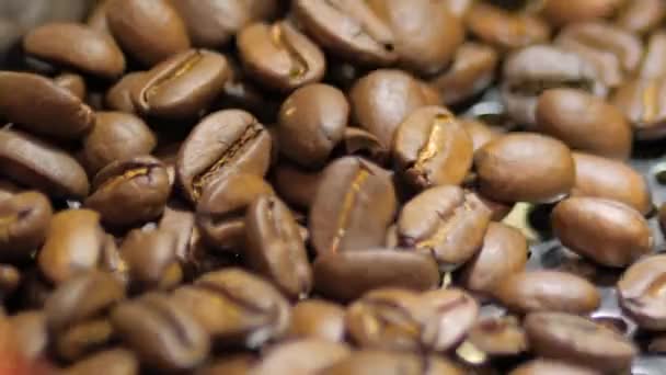 Karıştırma ve kızartma işlemi: yavaş çekim - iş sırasında kahve kızartma makinesi — Stok video